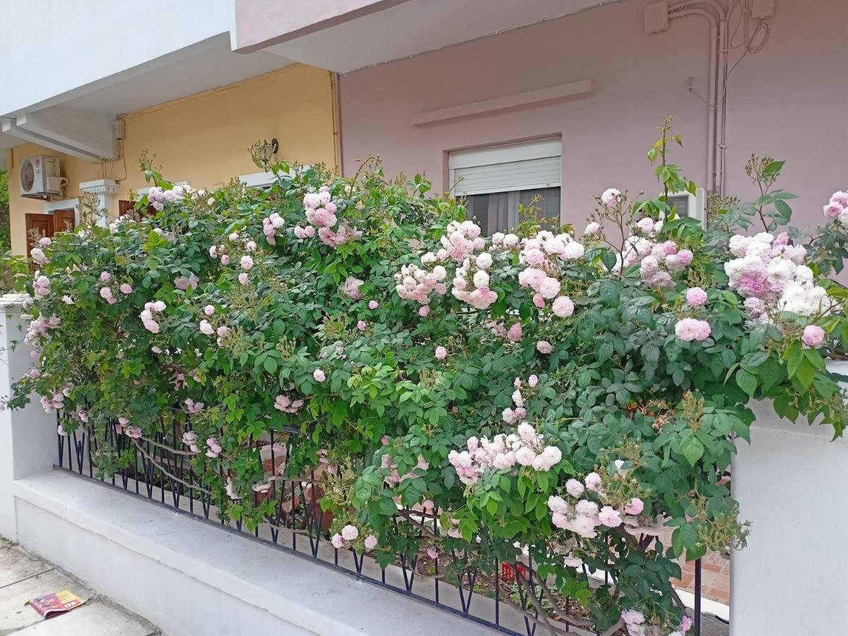 Family House Kos Down Town公寓 外观 照片